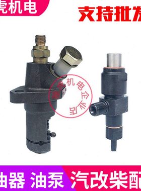 FF 喷161头大 小型A润泵器全油配件8油柴油机油泵 拓普 卧式 喷70