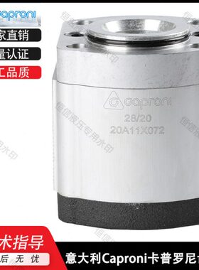 X2油泵073罗n林德A1 9810Ca0齿轮泵叉车pro40i卡尼1液压泵020普0