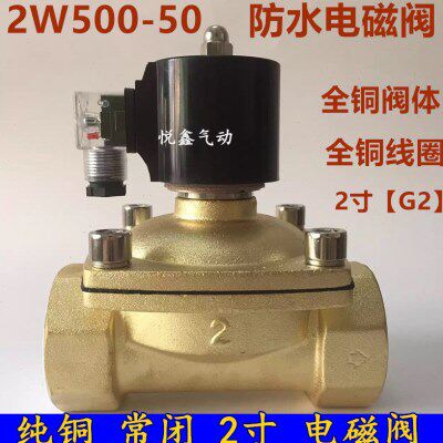 2W500-50 防水电磁阀水阀 DN-50防水电磁阀 220V 24V 全铜电磁阀