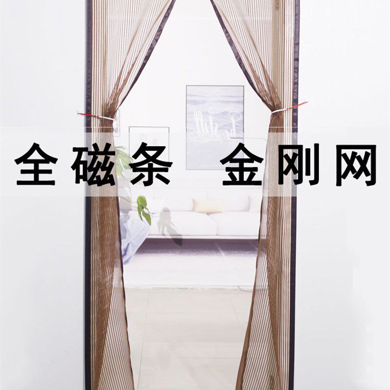 F外用防盗门防蚊门帘202v1新款房间入户门纱门防苍蝇阳台纱窗沙门