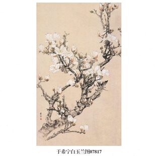 画白玉兰挂画画装饰仿古鸟国画卷轴吉祥画画名于希宁图花复制