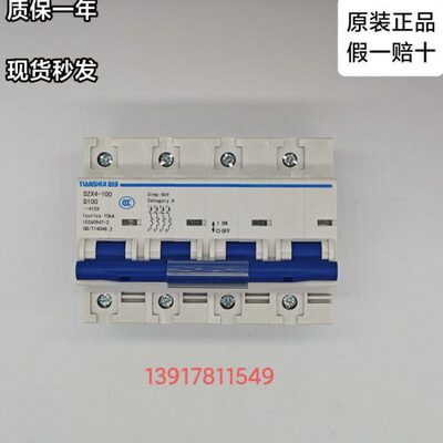 天水二一三 DZX4-100 4P 50A 63A 80A 100A 小型断路器