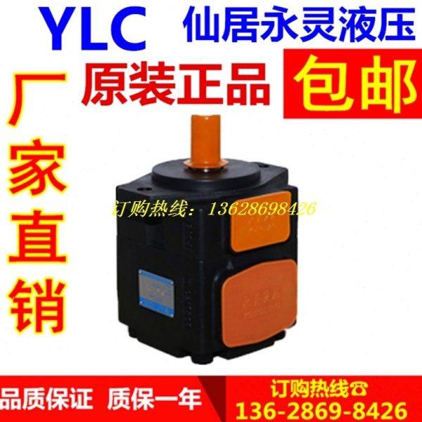 仙居永灵叶片泵 PV2R1-10-F1 PV2R1-12-F1 PV2R1-14-F1 YLC油泵,家居饰品,壁饰,淘宝优惠券,粉丝福利购,淘宝优惠卷