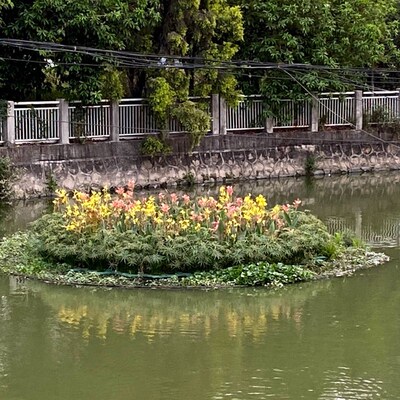 人工生态浮岛生态浮岛人工浮床水上种植生态浮床水上种菜净化水质