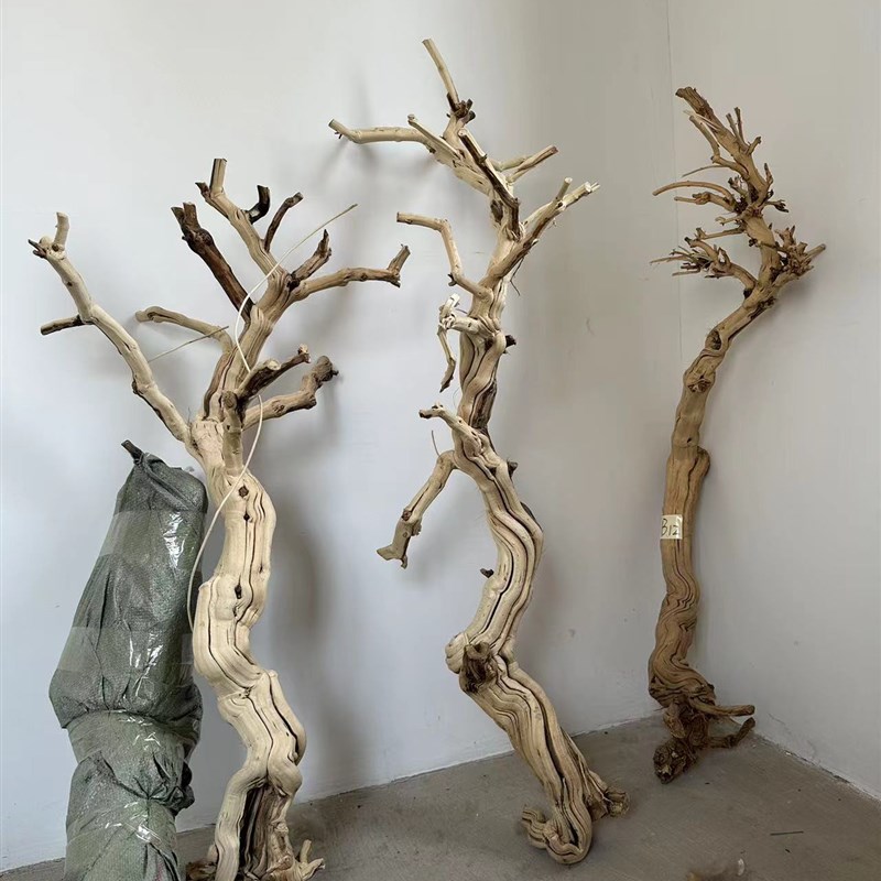 研木院干树造景树艺术去皮枯木树造型树木杈枯树装饰树枝干树枝