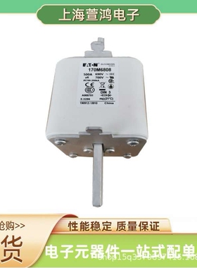 170M6936 170M6938 170M6939 170M6940原厂  压熔断器电流保护