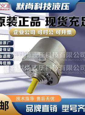 德国哈威油泵HAWE径向柱塞泵R9.8-9.8-9.8-9.8A 液压泵液压水泥泵