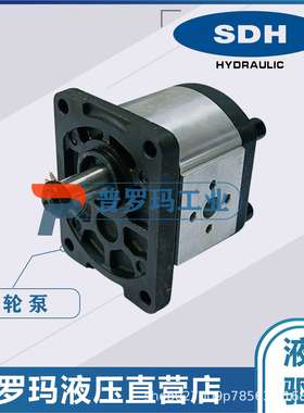 SDH齿轮泵液压油泵CBDa-F8.2 CBDa-F10.8 CBDa-F13.8 CBDa-F25.2