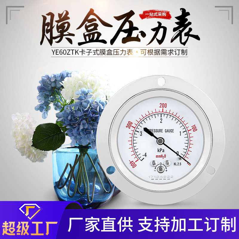 厂家供应YE60ZTK卡子式膜盒ZG1/4压力表轴向带边水压气压压力表