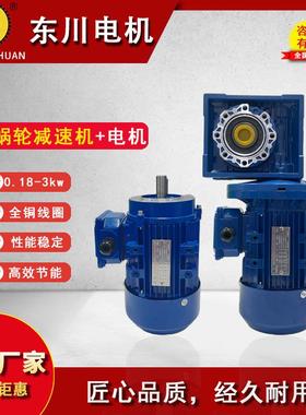 铝壳电机蜗轮蜗杆RV减速机NMRV50三相异步电机齿轮减速电机220V