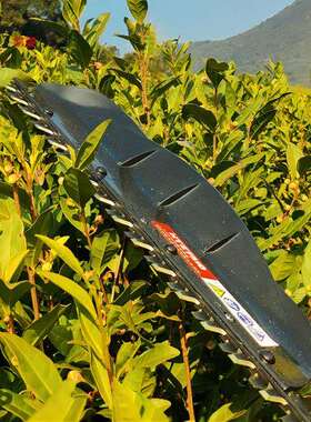 凯姿电动无刷绿篱机充电式茶树修剪机绿篱造型篱笆KZ750单刃