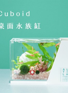 桌面生态鱼缸来潮时Cuboid迷你球藻小微水族P缸懒人好养免打理造