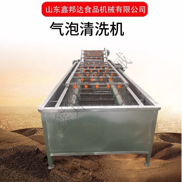 多功能全自动果蔬清洗机预制菜清洗设备气泡式车厘子杨梅清洗机