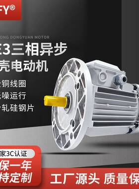 YE3三相异步电动机380v0.75/1.1W8极马达YE3-100L1/L2-8电机