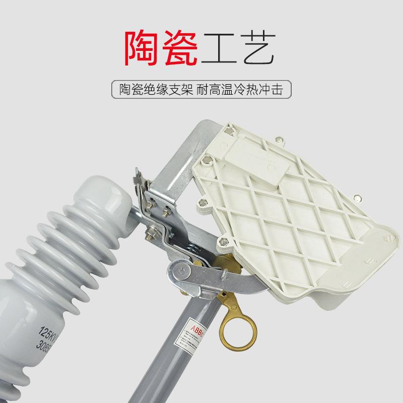 户外跌落式熔断器10kv-带灭弧RW12/200A跌落保险令克开关