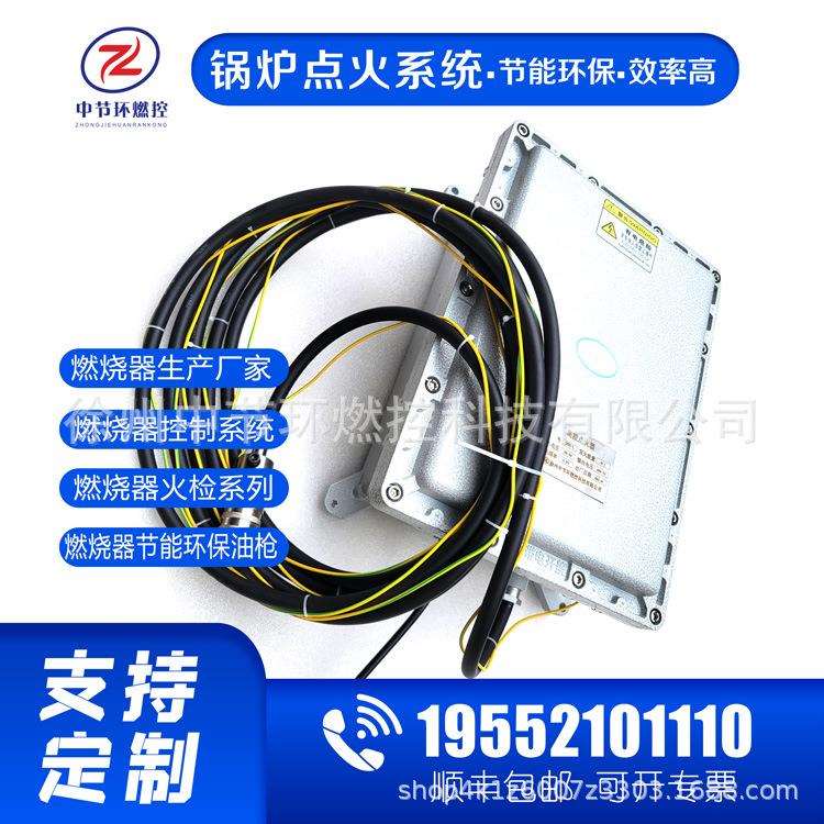 锅炉点火控制系统 油田火炬防爆高能点火器 型号：MDH-20B