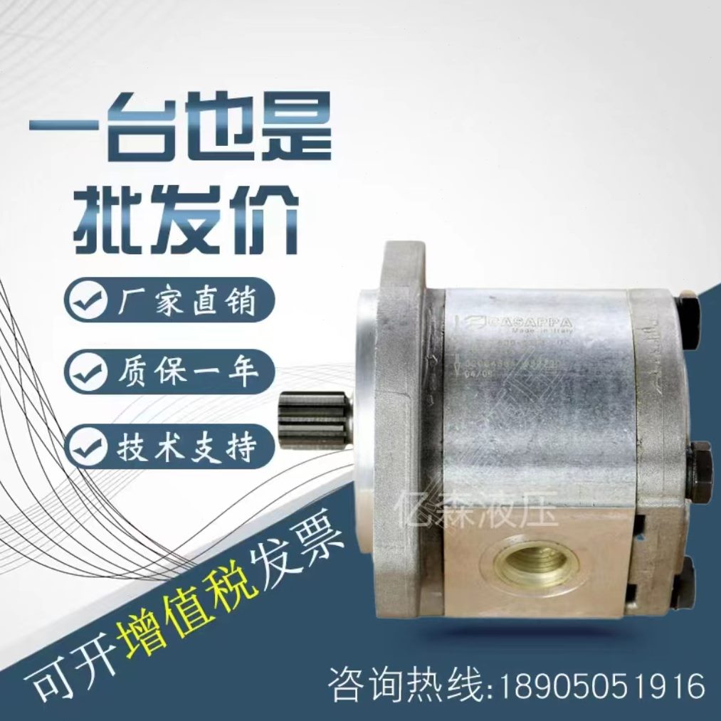 2.5S31.5/./CA1/1010AW5/意大利8SP//APP6./8凯斯帕齿轮泵2/-5/4