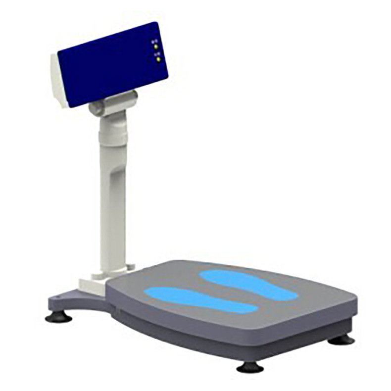 厂家供应 继豪JH-1993电子体重秤 电子体重测试仪 成人健康电子秤