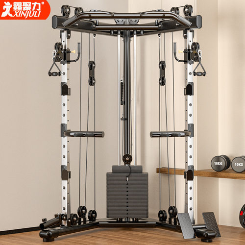 小飞鸟龙门架家用综合训练器材多功能深蹲架高位下拉一体健身器械