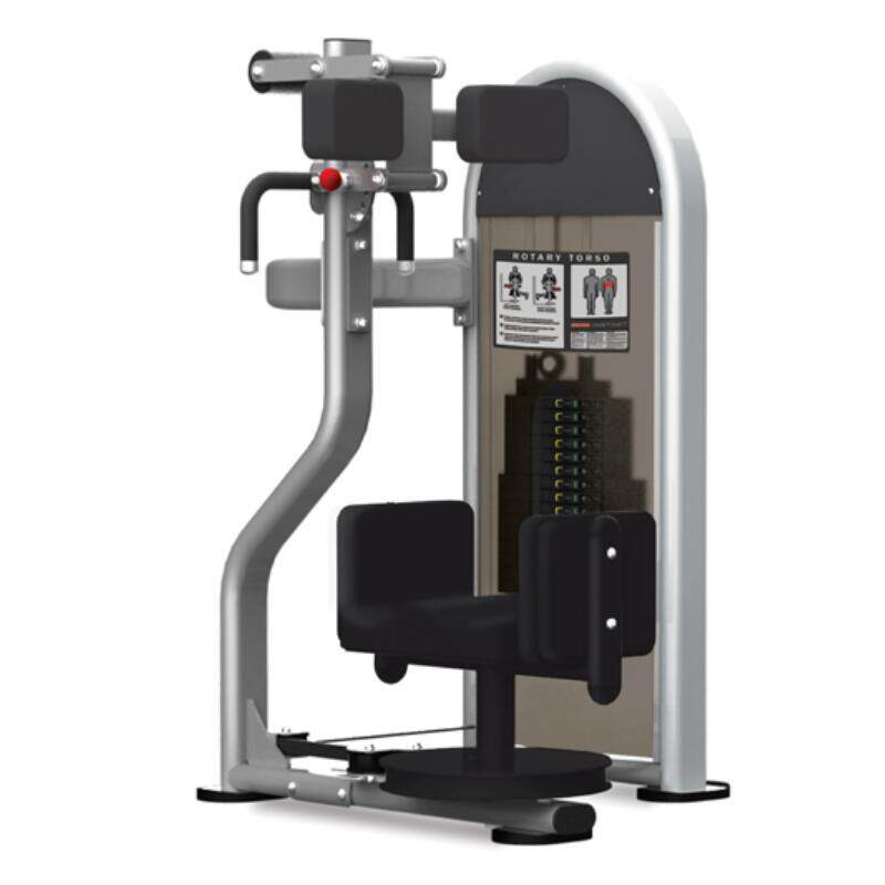 美国诺德士9NL-S6300转体训练机 商用健身房器械