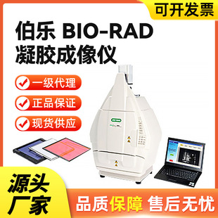 美国伯乐Bio-Rad凝胶成像仪系统ChemiDoc/GelDoc凝胶文档系统