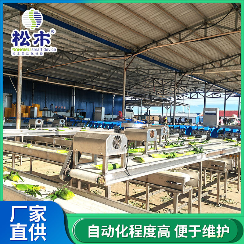 全自动玉米重量分选机农副产品重量分选流水线果蔬称重分级设备,清洗/食品/商业设备,其他清洗机,淘宝优惠券,粉丝福利购,淘宝优惠卷