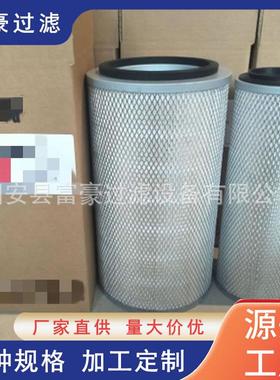 AF25268 40C0402 11096B-020空气挖掘机滤芯工程机械设备