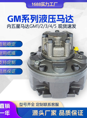 液压马达 内五星马达GM1 GM2 GM3 GM4 GM5替代SAI摆缸行走马达
