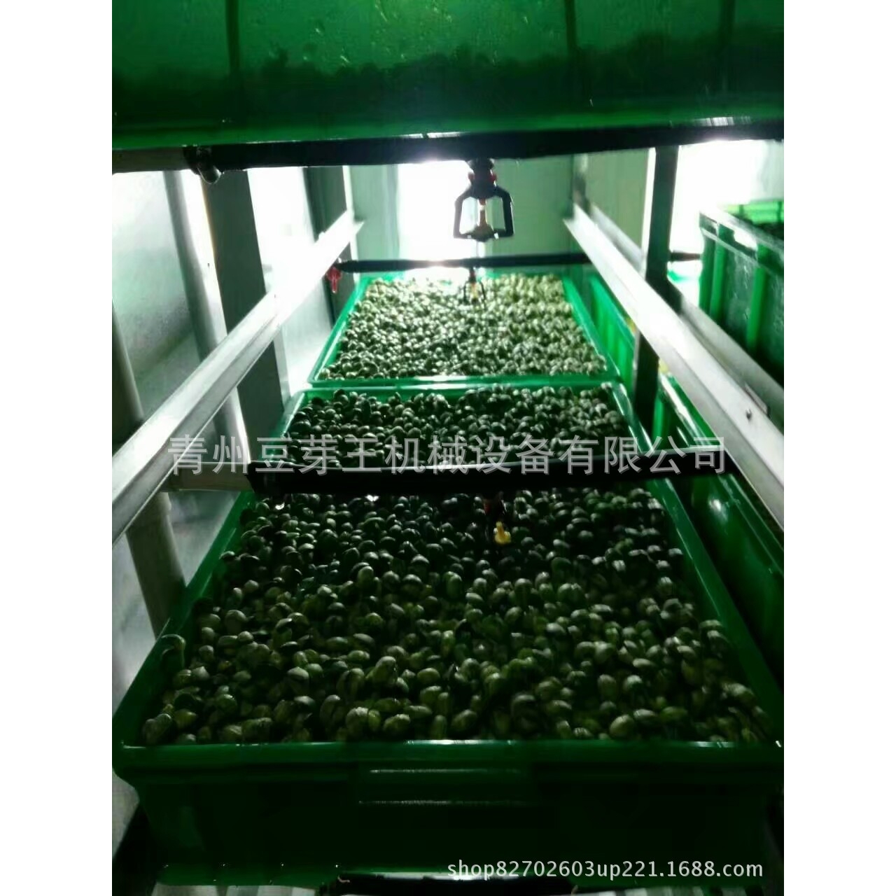 绿色长寿芽花生芽苗一体机 多用途豆芽机设备 食品豆制品加工机械