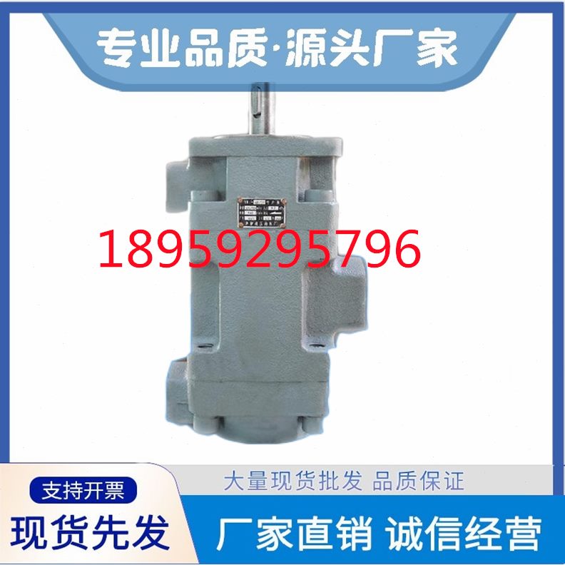 12Y/5010永灵叶片泵402.51600,泵液压油86//3Y/5-/.B-10121--110B