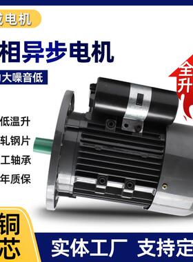 YL802-4单相750W软冰机用电机低噪音全铜机芯卧式电动机B3系列