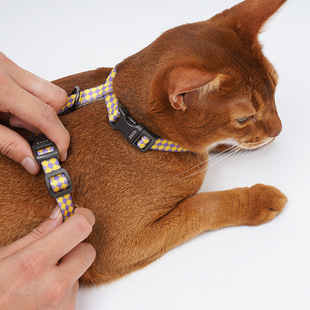 无毛猫德文牵引绳子脱迷彩日y系H型背带遛猫防挣工字外出用品