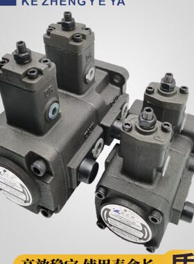 V15 20 Z-40-30-PY科叶K正-F15-20 油泵量A3双联A1-F变片40 30-A2
