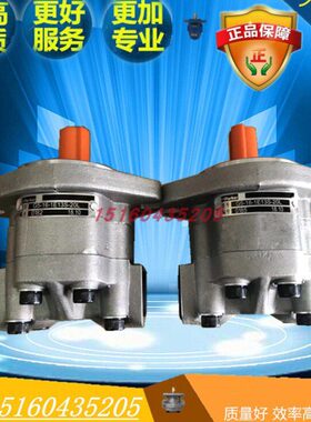 齿轮泵6-253 RF-A1-A1  8A1G20 203S 5    L R3053天津16派克1012