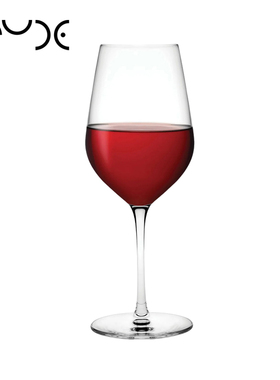 土耳其进口NUDE Climats水晶玻璃G高脚红酒白葡萄酒杯家用酒店会