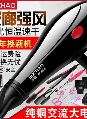 德国电吹风机家用大小冷热便捷式