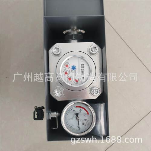 GGS-E型双功能流量计 双功能直读式压水表 注水流量计