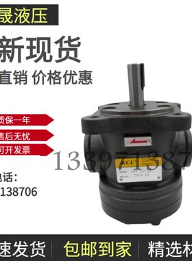 台湾KCL凯嘉50T-07/14/17/20/23/26/36/39/43-LR/FR-PA-2/1叶片泵