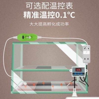 控温调温宠物用电热垫小电热毯加长款垫40*60cm宠物加热垫保温垫,五金/工具,电热工具,淘宝优惠券,粉丝福利购,淘宝优惠卷