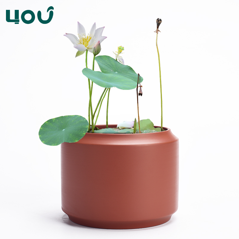 紫砂花盆铜钱草专用水培碗莲盆睡莲盆缸陶瓷无孔T水养水仙花盆大