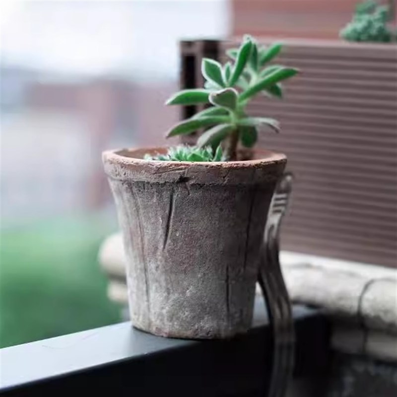 喇叭盆粗陶红黑盆龟背竹绿箩瓦盆C高款阳台陶土盆家用异形多肉盆