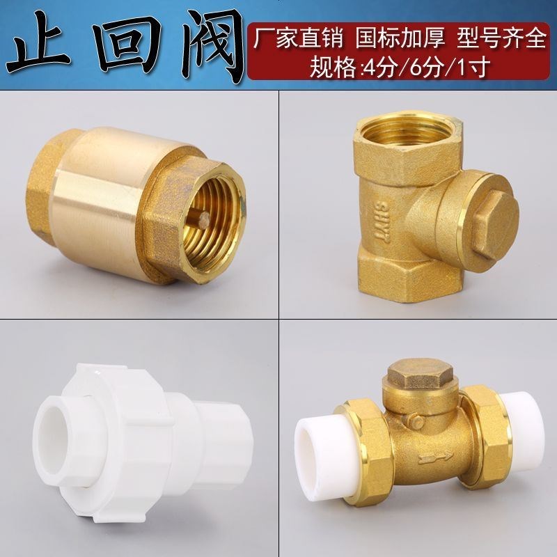 PPR止回阀防倒流m热熔卧式止回阀立式全塑活接4分全铜对丝304软管