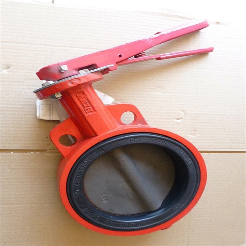 BRAY博雷Sf30支耳式蝶阀S30手动对夹式蝶阀DN50.65.80.100