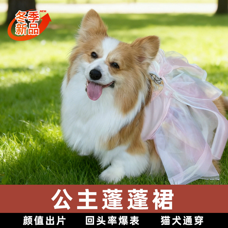 宠物小狗陪嫁衣服春秋夏薄款蝴蝶结可爱蓬蓬裙猫咪公主裙结婚礼服