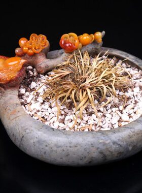 上湘崎雀家居寿山石玄关装饰客厅摆设摆件眉梢书房喜俏色巧雕品