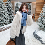 秋冬款新品-巨好看毛茸茸连帽皮毛一体ZB187-137-P160-K238，女装皮草，浙宝187