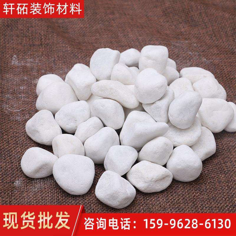 白色鹅卵石雪花白盆栽多肉铺面小石子庭院装饰园林造景石头砂石