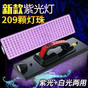 蝎子灯灯手提灯捉专用灯豆灯led超亮虫灯照强光抓