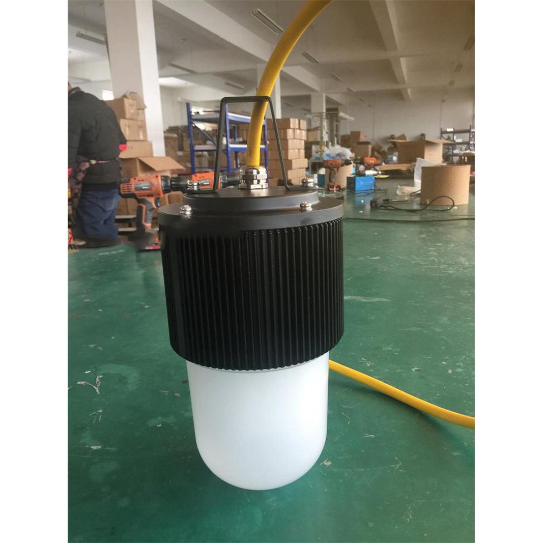 50WLED防爆行灯12V24V36V大功率防爆行灯FW6320防水防尘防摔