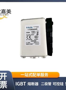 170M4446 170M4418 快速熔断器 电子元器件 库存充足 量大价优